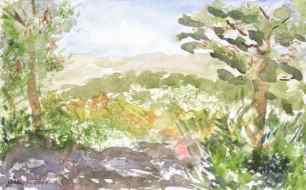 Olivia's Lookout Olivia's Lookout