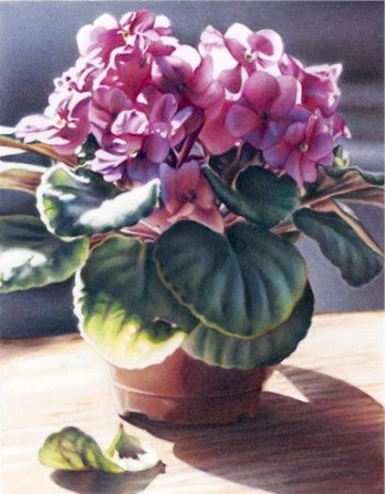 Mothers Day African Violet Giclee by Karen Eckelmeyer