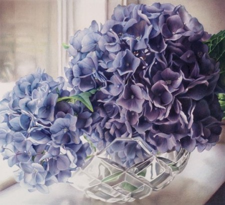 Blue Hydrangeas giclee by Karen Eckelmeyer