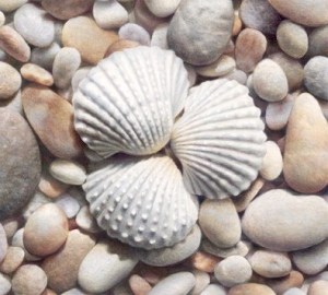 Arc III by Karen Eckelmeyer