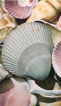Shells II by Karen Eckelmeyer