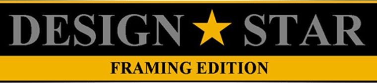 Design Star Competition, cross stitch framing, needlework framing, whispering Woods Gallery, Holland Pa framer, Bucks County Pa framer