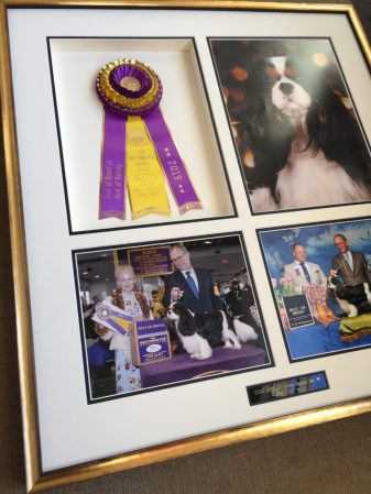 Framed Dog photos and Ribbon