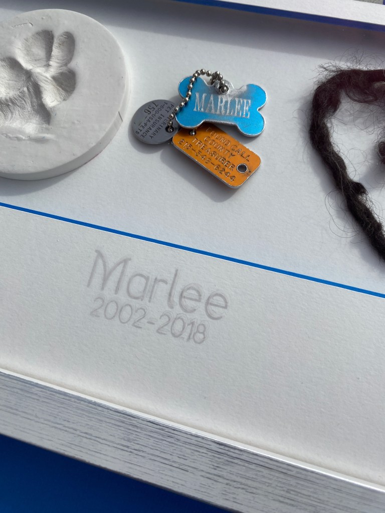 mat, matcutting, custom framing, pet tribute, pet keepsake, bespoke framing, picture frame, pet shadowbox, glass etching,