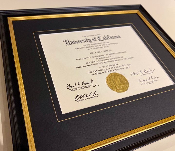 Custom framed college diploma