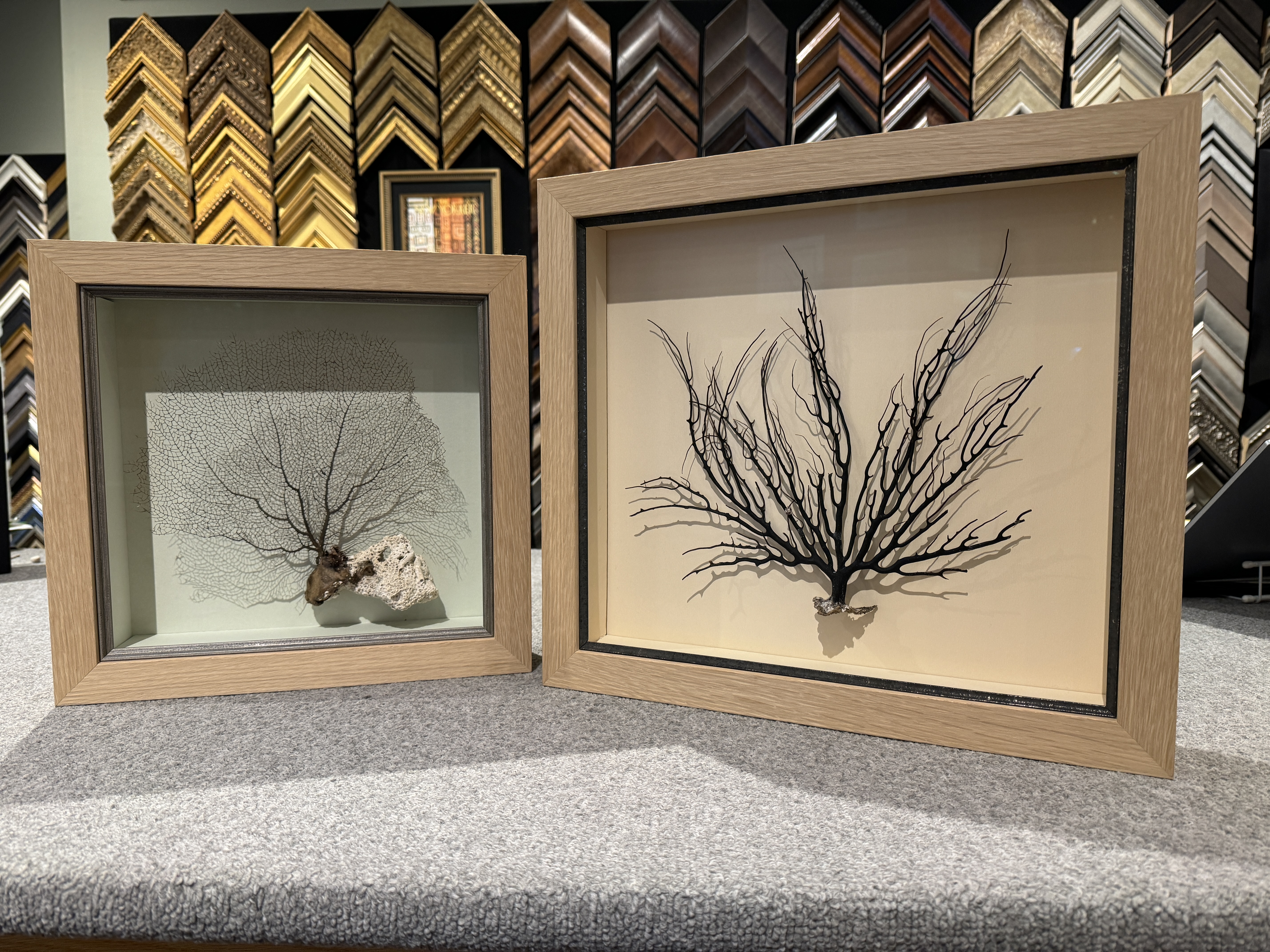 Custom Framed Coral Shadowboxes in Larson Juhl frames.