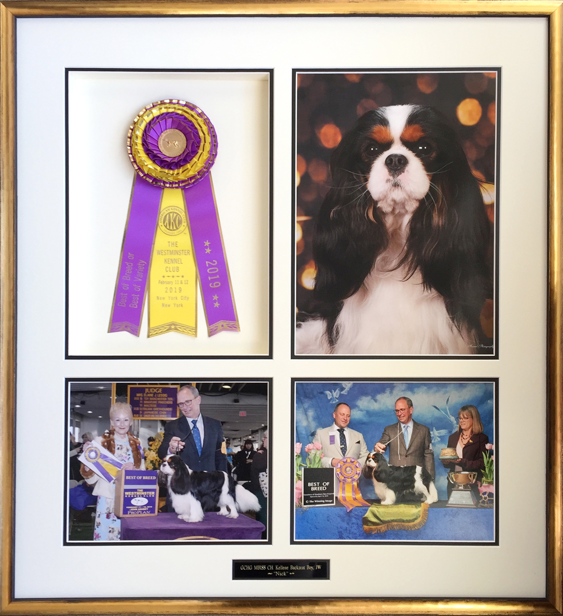 Shadowbox for an award winning dog at Westminster.